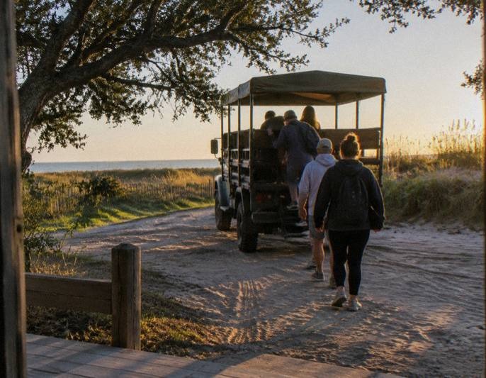 2-Hour Open-Air 4WD Wild Horse Tour