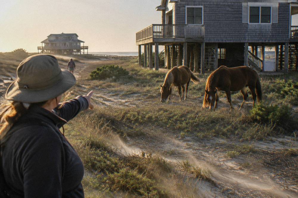 Guide pointing toward wild horses grazing behind a beach house in the 4x4 area
