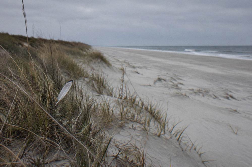 An empty Outer Banks beach in cold weather with low dunes and pale winter light
