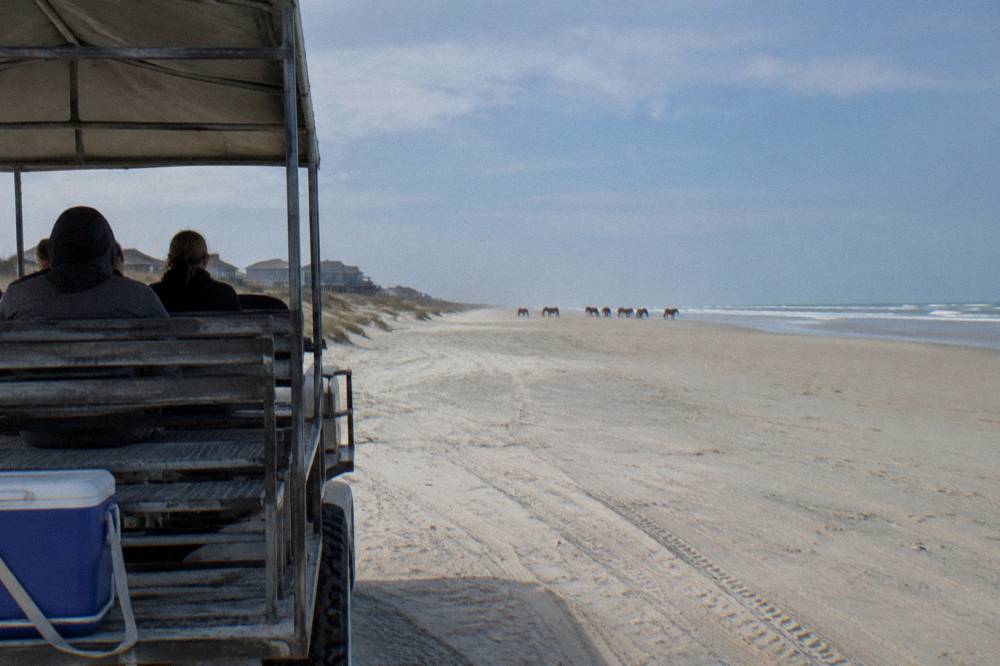 An open-air four-wheel-drive tour truck parked on hard sand at a respectful distance from distant wild horses