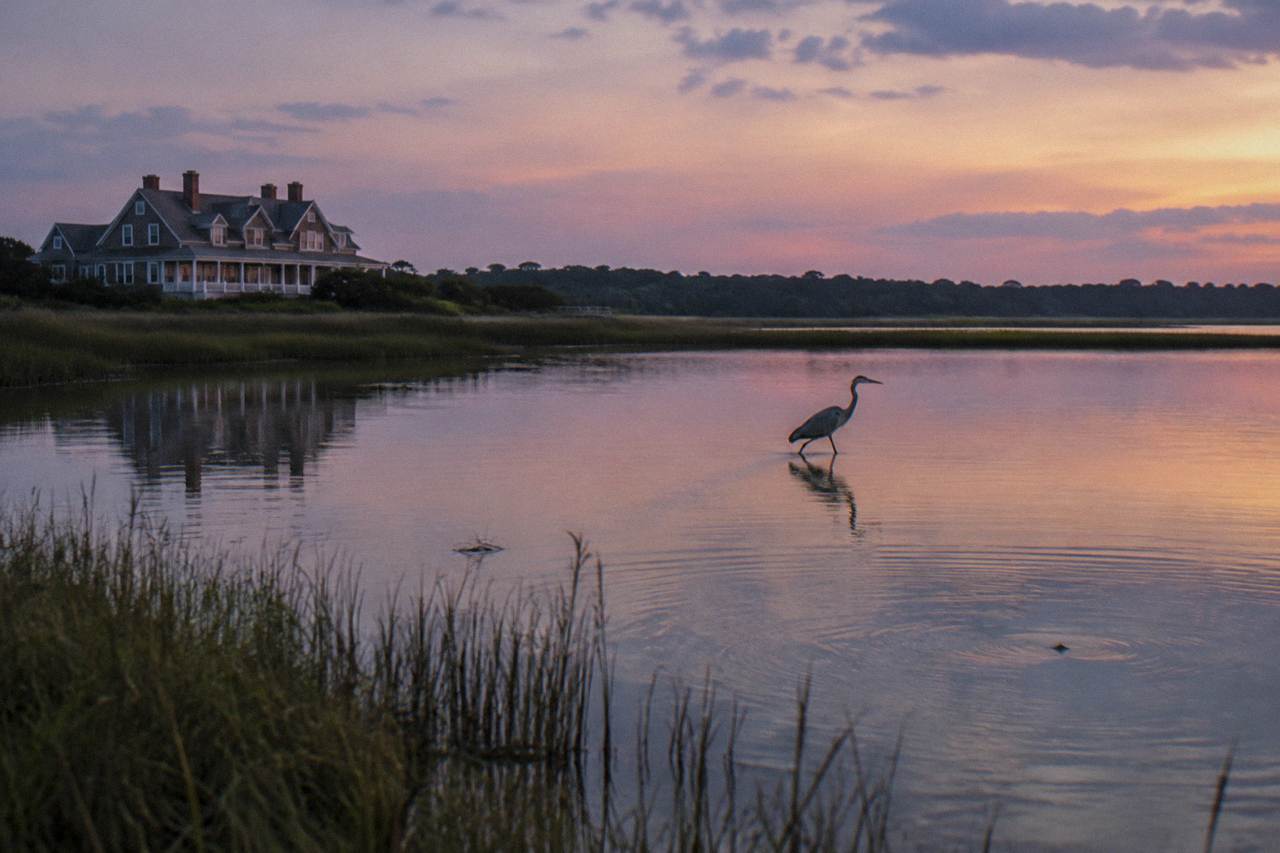 Calm sound water with marsh grass and a distant treeline near Corolla