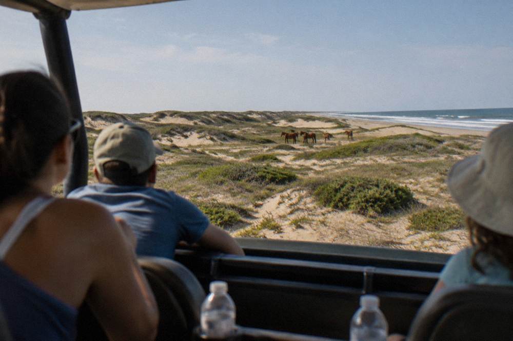 An open-air 4WD tour truck parked on the sand with passengers watching horses in the distance